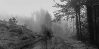 Il decadimento digitale che sta facendo marcire il web