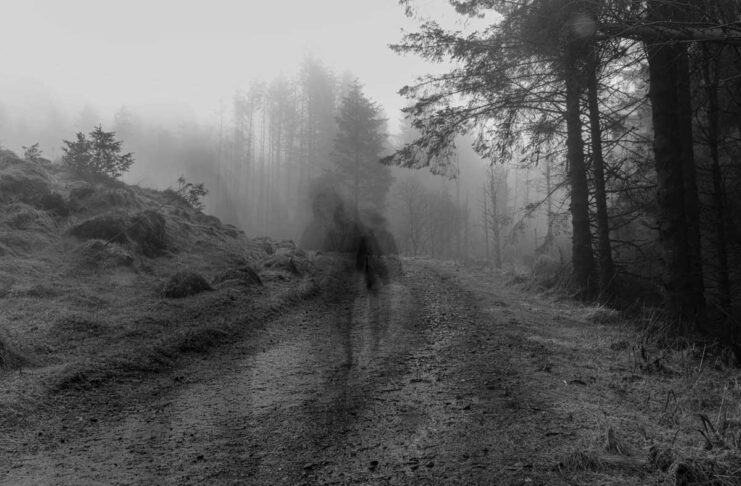 Il decadimento digitale che sta facendo marcire il web