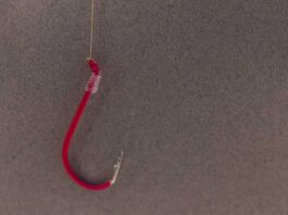 Siti web malevoli che imitano i servizi postali aumentati dell’86% dopo le festività Come riconoscere alcune truffe che arrivano via mail