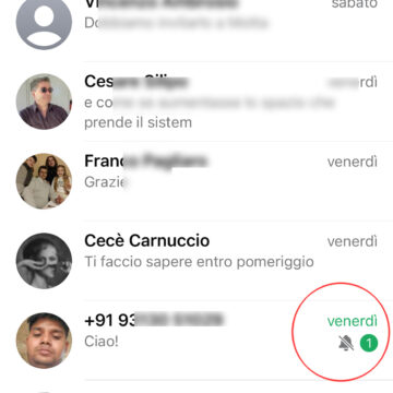 Come personalizzare o silenziare le notifiche di WhatsApp