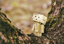 Amazon pensa ad un chatbot AI da lanciare già a settembre