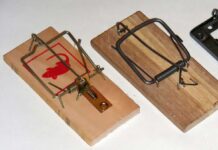 Le trappole nei testi per evitare i furti di copyright delle AI Uno strumento per disseminare trappole nei testi e capire se le AI rubano materiale coperto da copyright