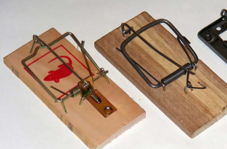 Uno strumento per disseminare trappole nei testi e capire se le AI rubano materiale coperto da copyright