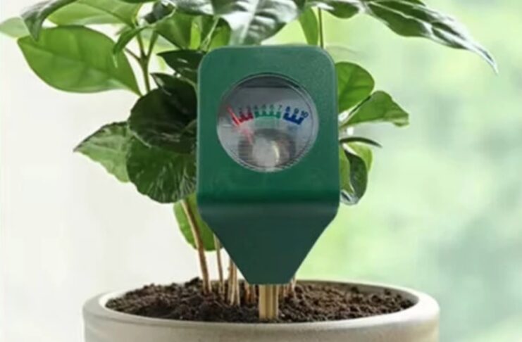 Mini igrometro per orto, vasi e giardino a soli 2,69 €