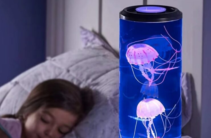 Meduse in bottiglia con la lampada speciale a soli 10 € - macitynet.it