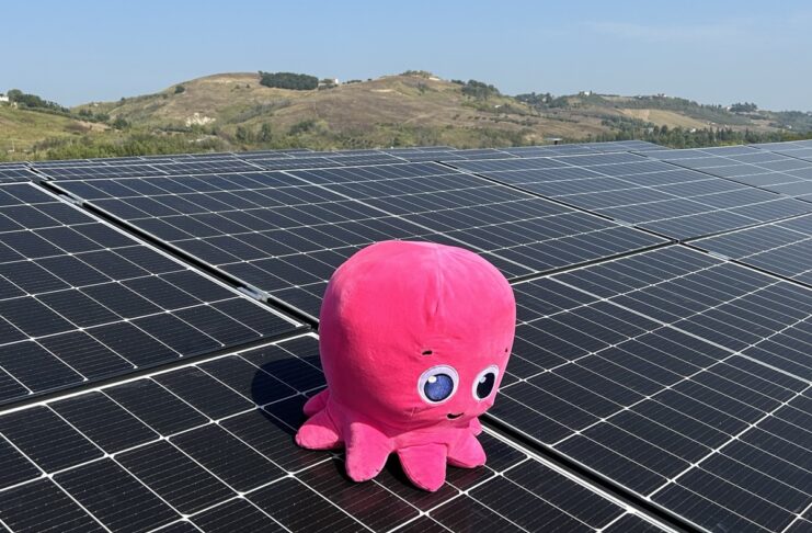Fotovoltaico in Italia, Octopus Energy investe in Coralsun