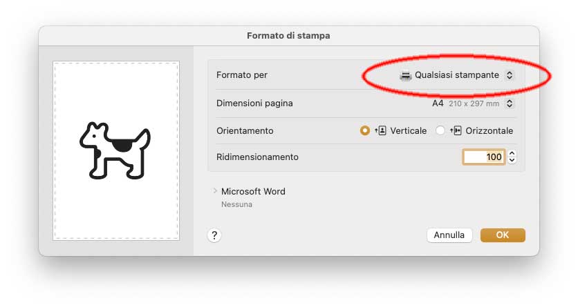 Come risolvere problemi con le stampanti Epson dopo aggiornamento a macOS Sequoia - macitynet.it Esempio di finestra Formato di Stampa