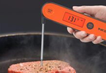 Termometro digitale per barbecue in offerta a 9 € Termometro digitale per barbecue in offerta a 9 € - macitynet.it