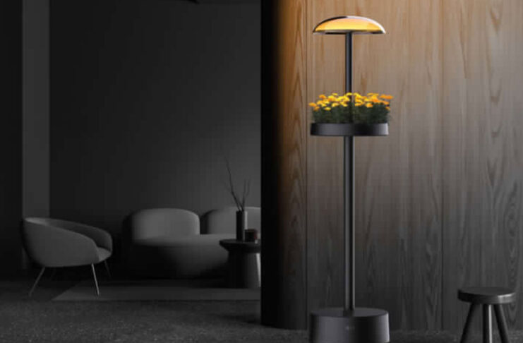 CES 2025, nuove soluzioni per giardinaggio indoor da LG - macitynet.it