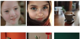 DeepSeek, l’AI cinese sfida anche nelle immagini - macitynet.it