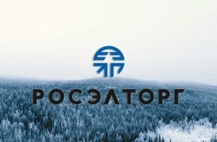 Hacker hanno violato la più grande piattaforma di gare d'appalto della Russia - macitynet.it