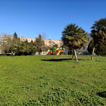 Recensione smartphone Realme 12 Pro+ 5G - macitynet.it