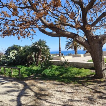 Recensione smartphone Realme 12 Pro+ 5G - macitynet.it