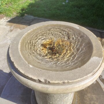 Recensione smartphone Realme 12 Pro+ 5G - macitynet.it