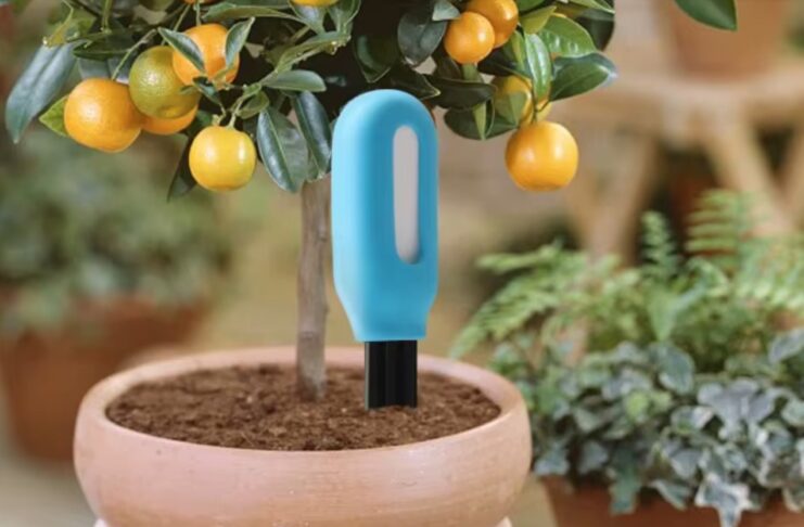 Sonda Smart per giardinieri digitali a soli 5 € - macitynet.it