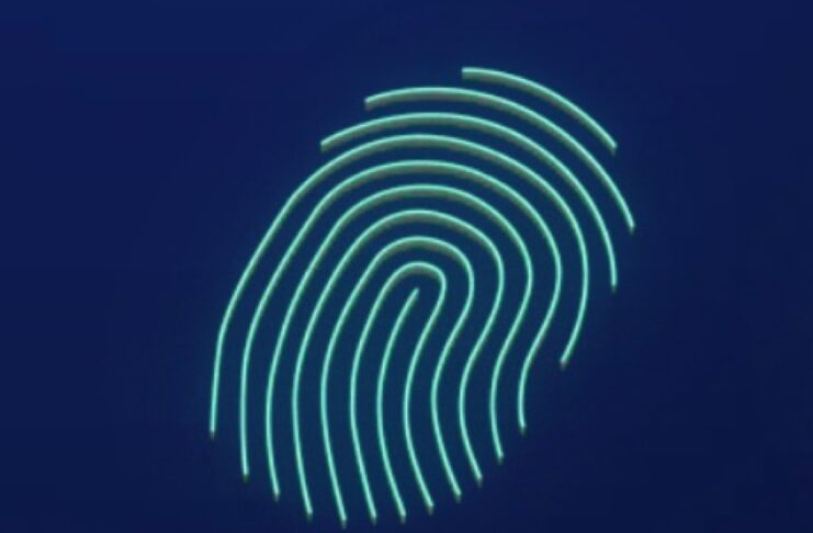 DeepSeek somiglia un po’ troppo a ChatGPT - macitynet.it