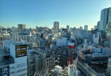 Il crepuscolo dei dizionari elettronici in Giappone Il crepuscolo dei dizionari elettronici in Giappone - macitynet.it