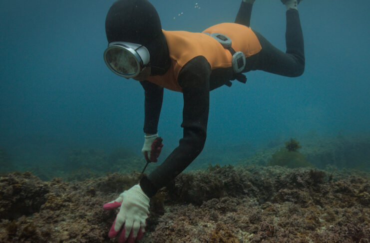 Una sommozzatrice haenyeo dell’isola sudcoreana di Jeju in “The Last of the Sea Women”, disponibile su Apple TV+.