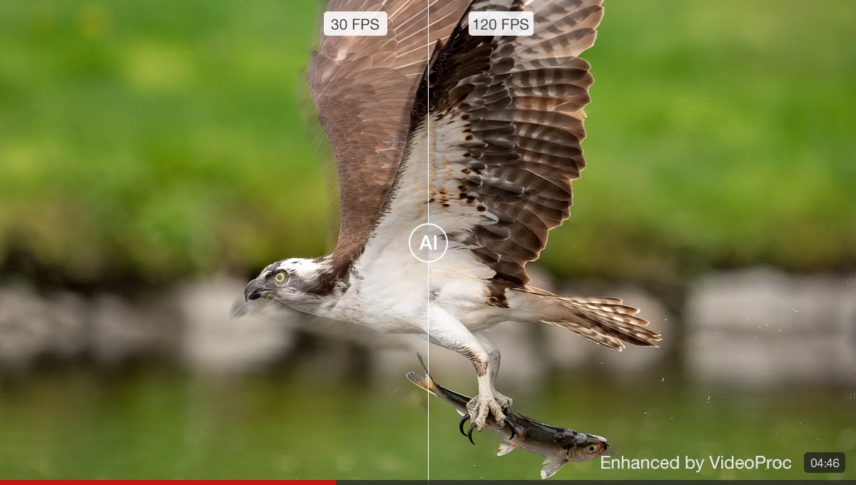 VideoProc Converter AI, sconto del 62% sul convertitore video con AI - macitynet.it