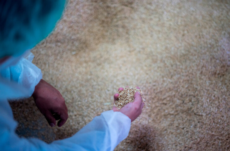 SEAT Arona è la prima auto a incorporare componenti creati a partire dal riso - macitynet.it