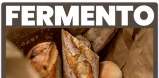 WordPress AI genera un intero sito web in pochi minuti - macitynet.it