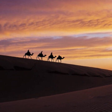 Microsoft Bing Video Creator genera video gratis dalle tue parole - macitynet.it