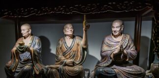 Con Adobe Project Indigo iPhone diventa una DSLR tascabile - macitynet.it