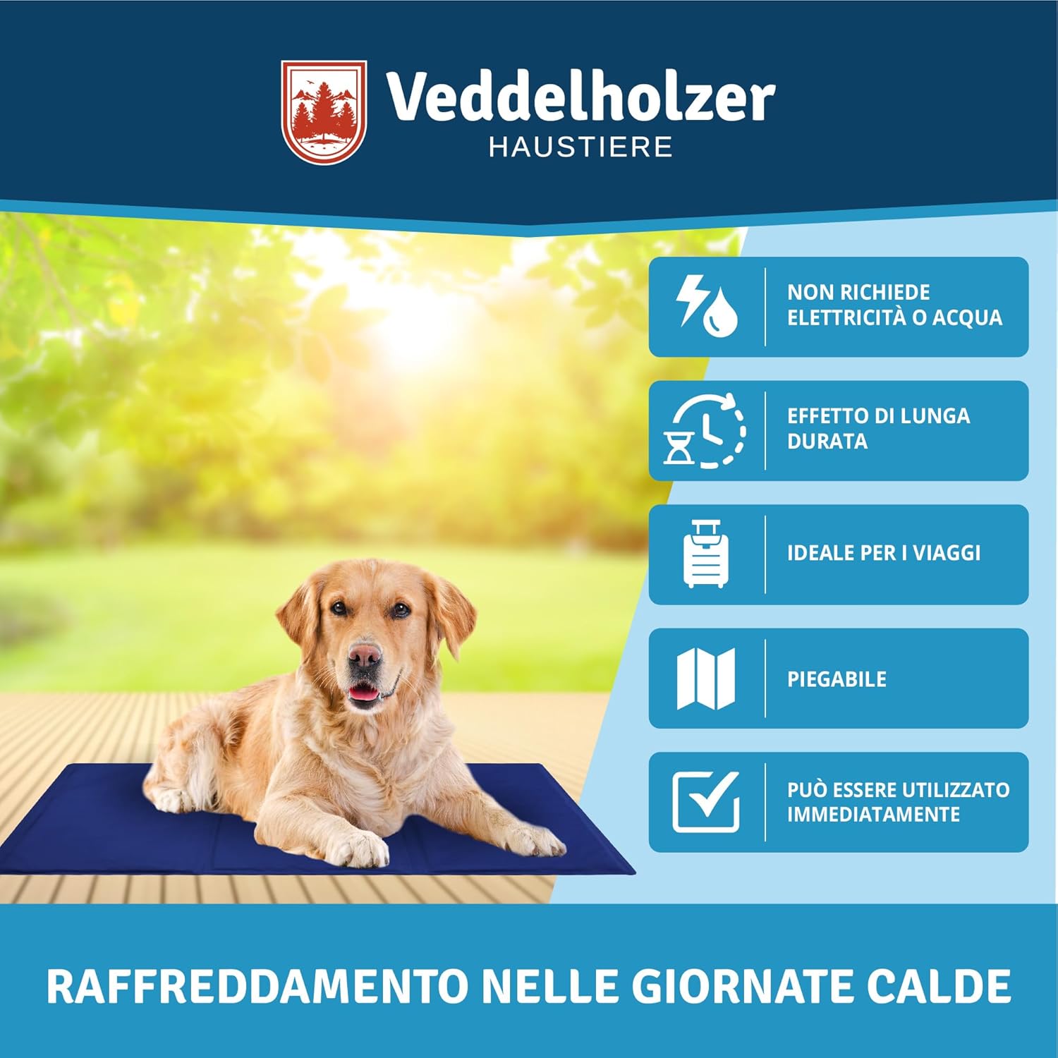 macitynet.it macitynet.it