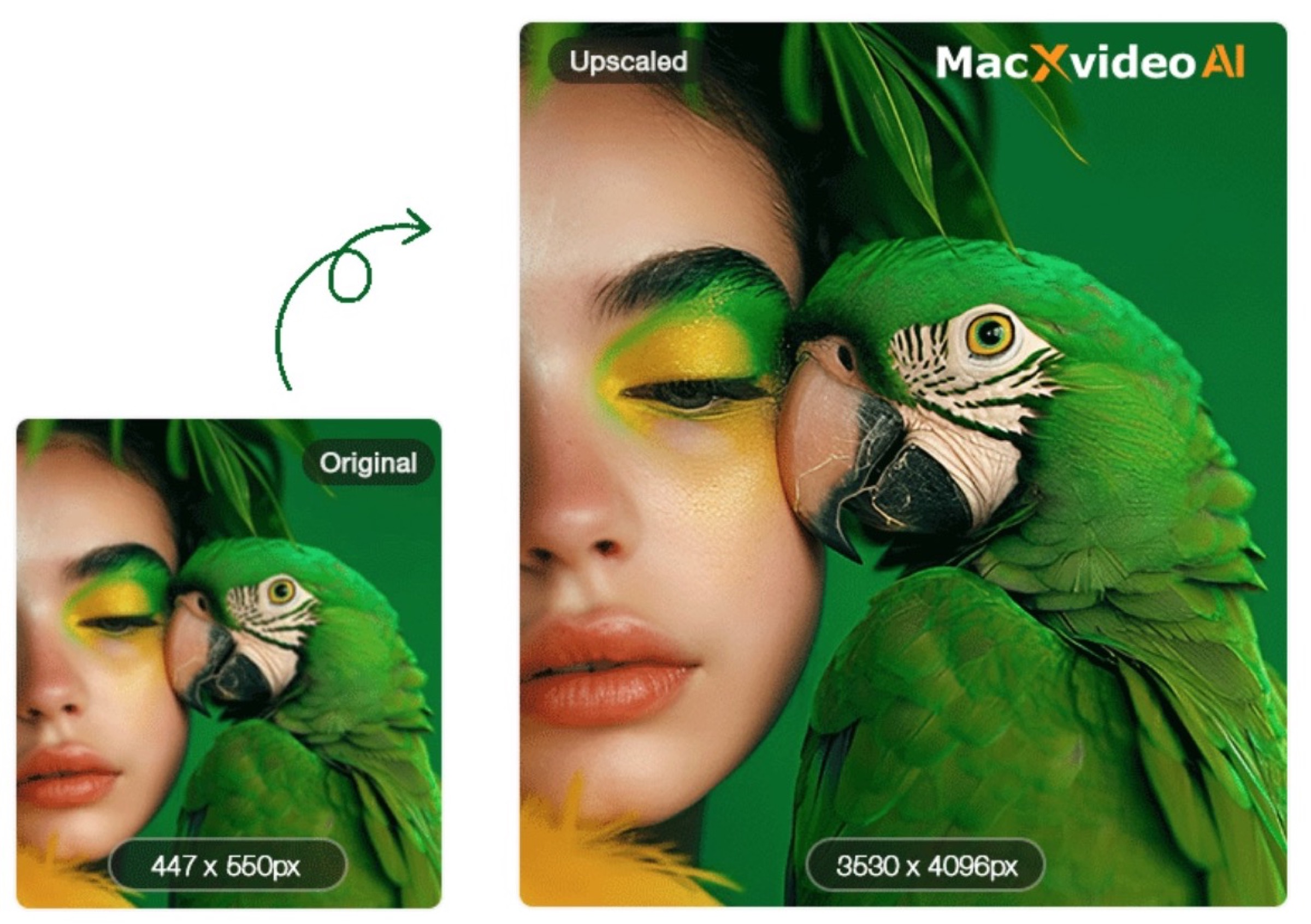 Sconto Macxvideo AI per dare nuova vita a vecchie foto e filmati - macitynet.it