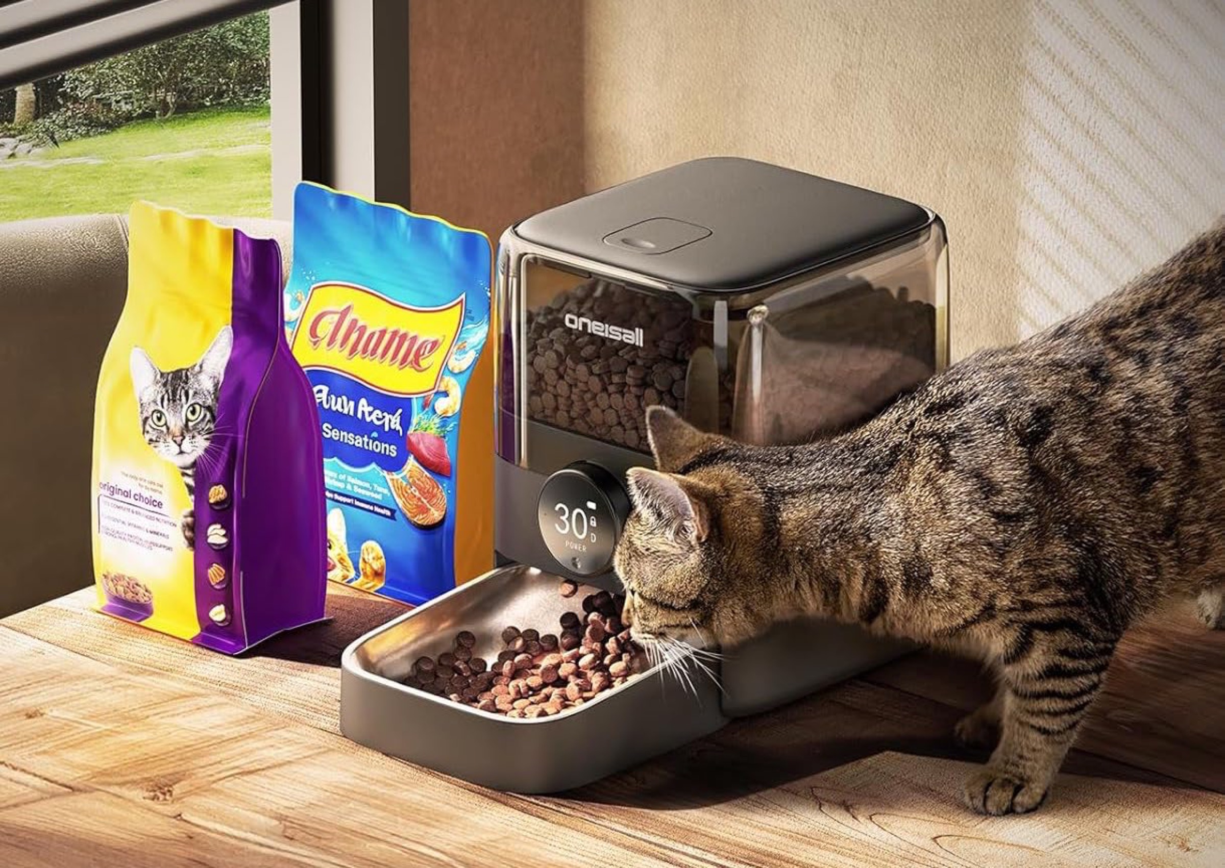 OneIsAll distribuisce cibo ai gatti per 100 giorni e senza fili - macitynet.it