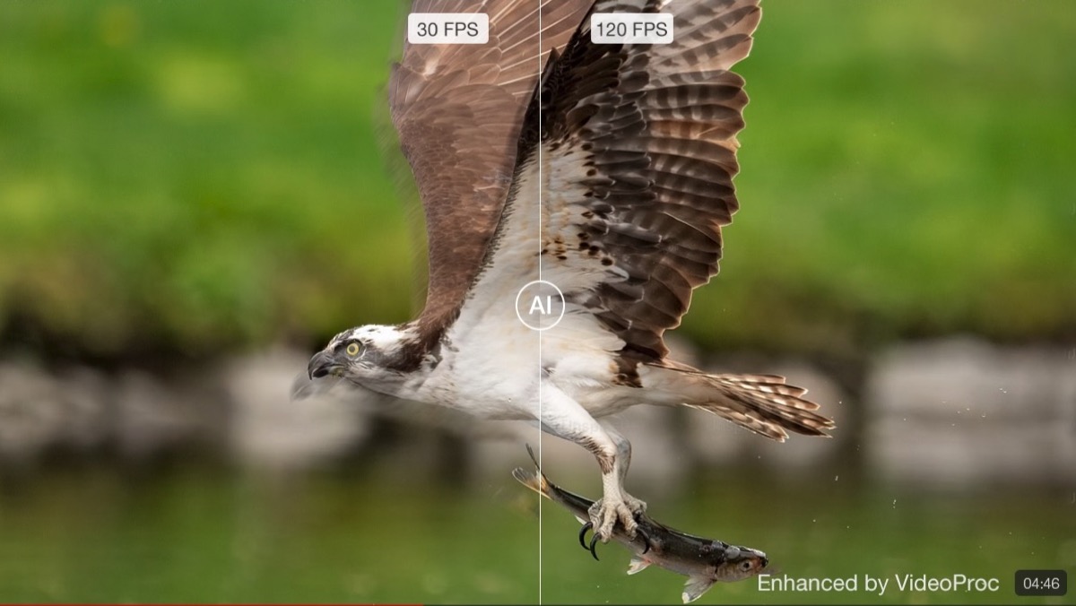 Ripristina i tuoi vecchi video/immagini a 4K/8K/10K con VideoProc New AI (solo 29,95 € + 4 gratuiti) - macitynet.it