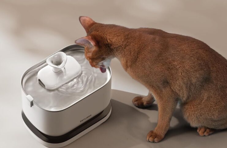 PETLIBRO Dockstream, la fontanella per gatti davvero senza fili - macitynet.it