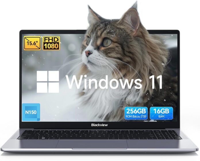 Blackview Acebook 6 su Amazon scenda da 699 a 293 euro - macitynet.it