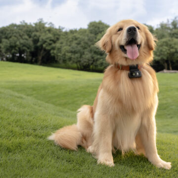 [NDS 23 settembre ore 14]DJI Osmo Nano, parte la rivoluzione della fotografia indossabile a mani libere - macitynet.it