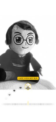 Guida alla Modalità Ritratto di iPhone - macitynet.it