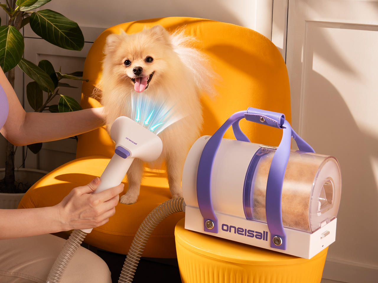 OneIsAll presenta la soluzione smart per la Toelettatura professionale a casa - macitynet.it OneIsAll presenta la soluzione smart per la Toelettatura professionale a casa - macitynet.it