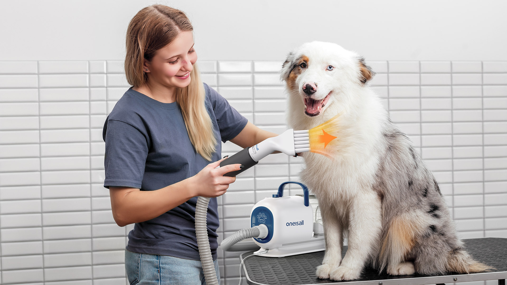 OneIsAll presenta la soluzione smart per la Toelettatura professionale a casa - macitynet.it OneIsAll presenta la soluzione smart per la Toelettatura professionale a casa - macitynet.it