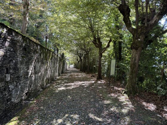 Recensione iPhone 17 Pro - macitynet.it