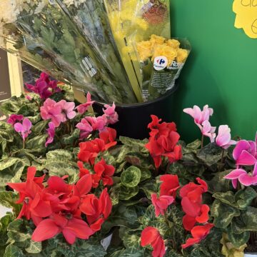 Recensione iPhone Air, ascoltate un amico - macitynet.it