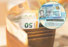 Con la carta di identità elettronica risparmi moltissimo, ma sono in pochi ad usarla nel modo giusto Con la carta di identità elettronica risparmi moltissimo, ma sono in pochi ad usarla nel modo giusto - macitynet.it