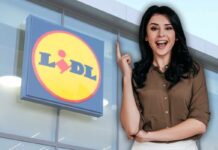 Da Lidl trovi l’elettrodomestico dell’anno a meno di 50 euro, altro che friggitrice ad aria e forno Da Lidl trovi l'elettrodomestico dell'anno a meno di 50 euro, altro che friggitrice ad aria e forno - macitynet.it