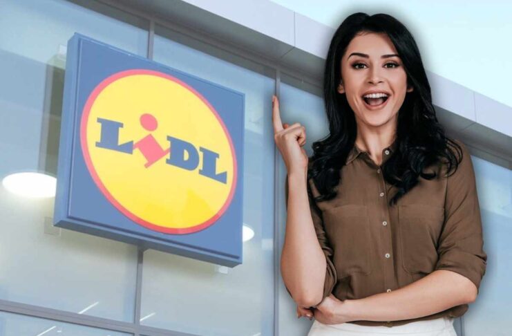 Da Lidl trovi l'elettrodomestico dell'anno a meno di 50 euro, altro che friggitrice ad aria e forno - macitynet.it