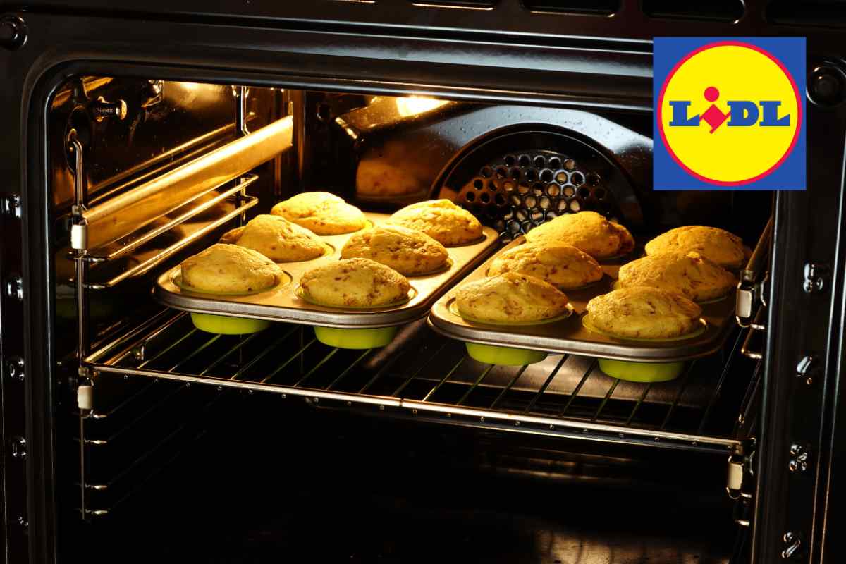 lidl elettrodomestico Da Lidl trovi l'elettrodomestico dell'anno a meno di 50 euro