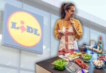 Lidl fa sognare tutti e propone l’alternativa al Bimby praticamente gratis: l’offerta del momento - macitynet.it
