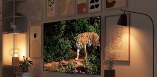 Amazon rinnova la gamma Fire TV con Omni QLED e Mini-LED, Serie 4 e Serie 2 - macitynet.it