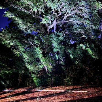 Recensione Govee Outdoor Laser Light Projector, luci, effetti e colori da Hallowen a Natale e oltre - macitynet.it