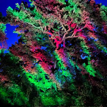 Recensione Govee Outdoor Laser Light Projector, luci, effetti e colori da Hallowen a Natale e oltre - macitynet.it