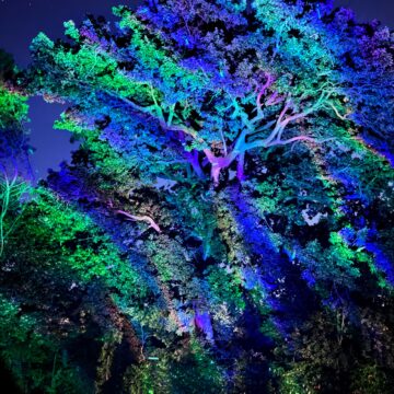 Recensione Govee Outdoor Laser Light Projector, luci, effetti e colori da Hallowen a Natale e oltre - macitynet.it