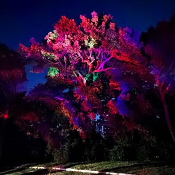 Recensione Govee Outdoor Laser Light Projector, luci, effetti e colori da Hallowen a Natale e oltre - macitynet.it