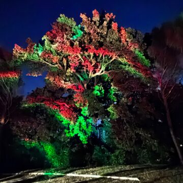 Recensione Govee Outdoor Laser Light Projector, luci, effetti e colori da Hallowen a Natale e oltre - macitynet.it